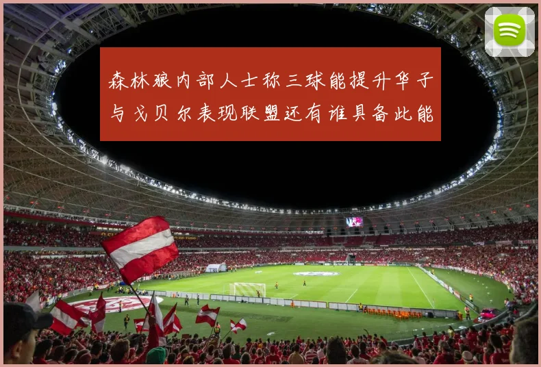 森林狼内部人士称三球能提升华子与戈贝尔表现联盟还有谁具备此能力