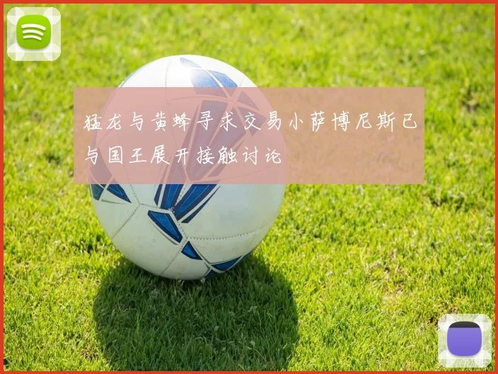 猛龙与黄蜂寻求交易小萨博尼斯已与国王展开接触讨论
