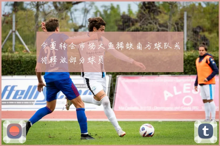 今夏转会市场大鱼稀缺南方球队或将释放部分球员
